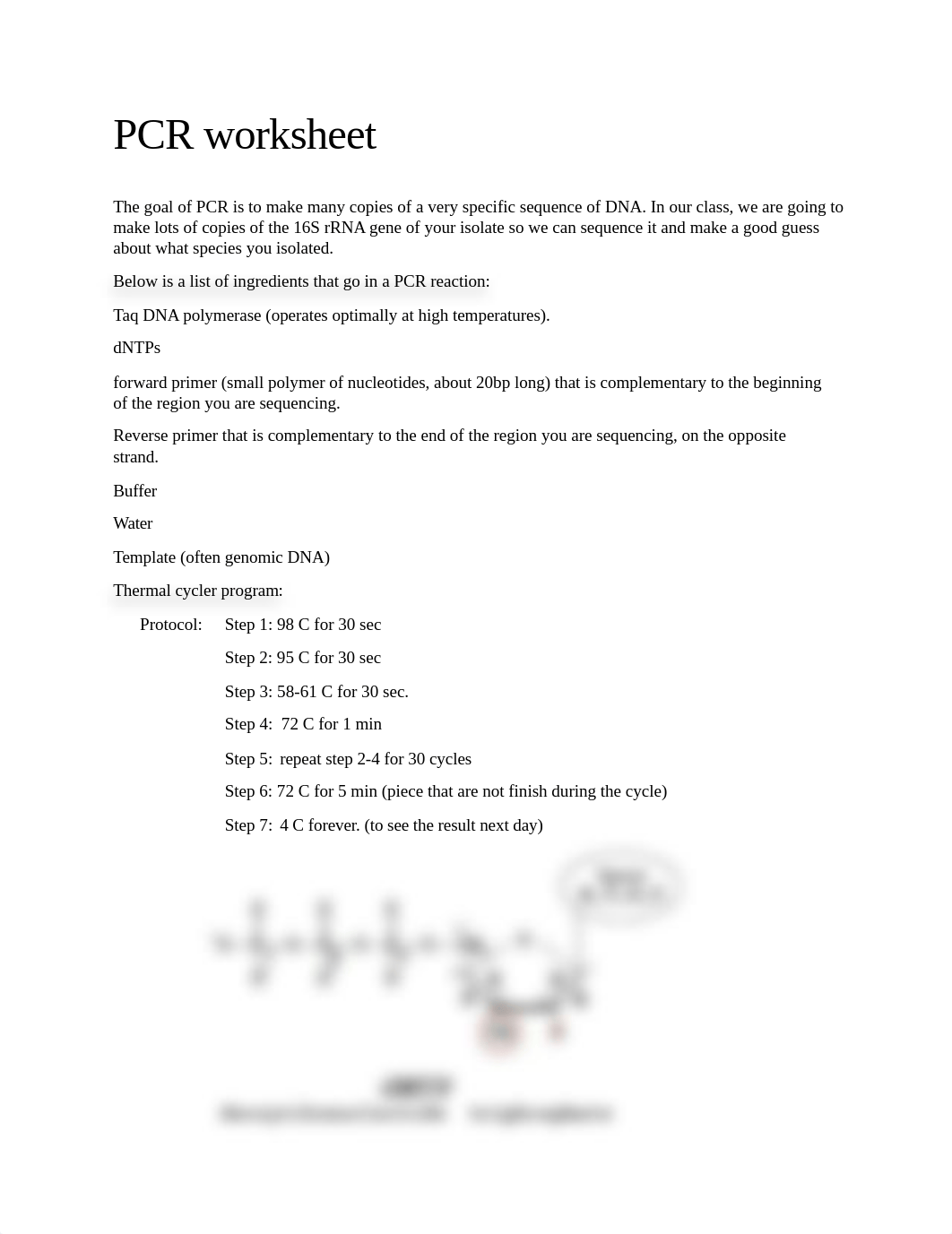 PCR worksheet.docx_dy78uei91wx_page1