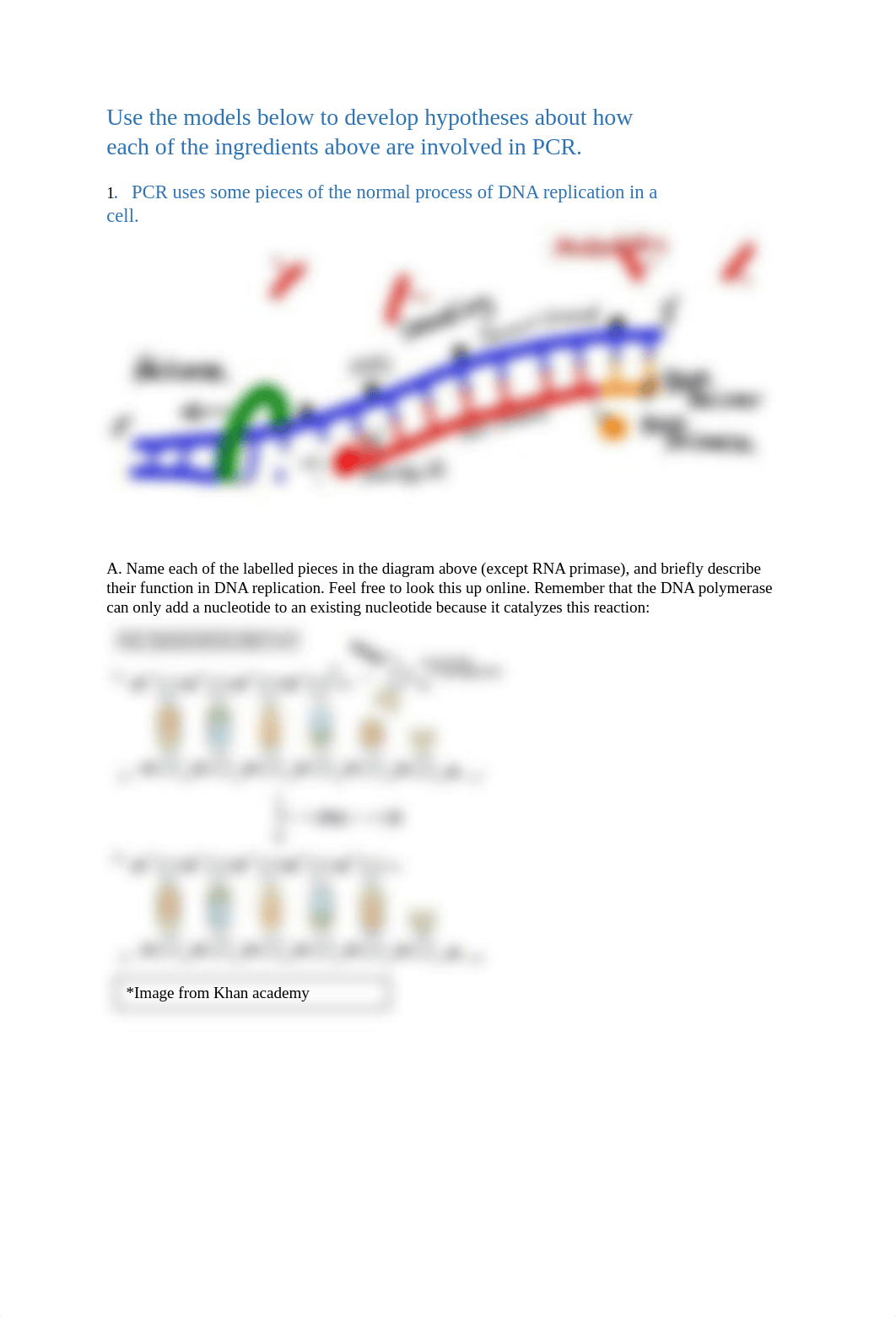 PCR worksheet.docx_dy78uei91wx_page2