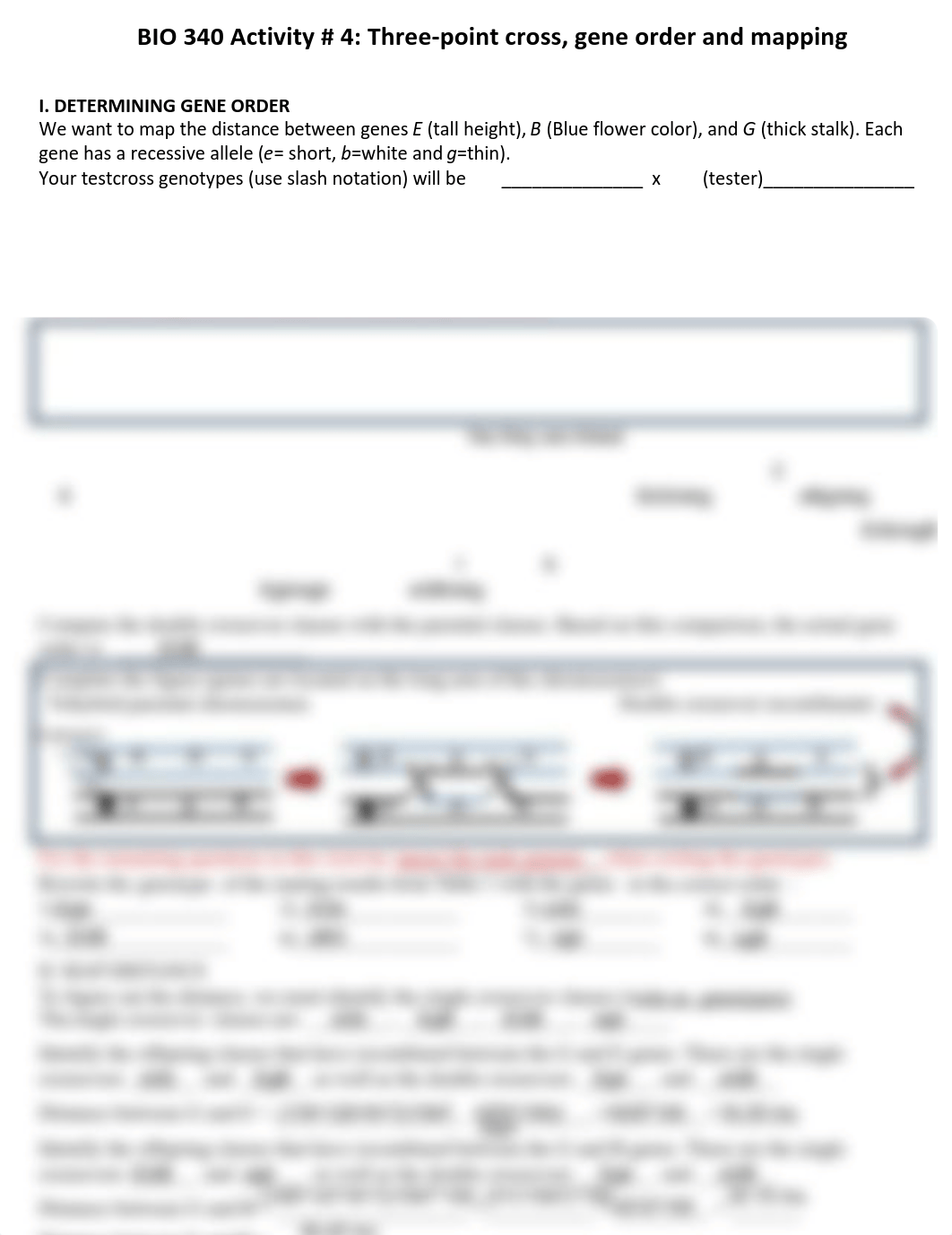 BIO 340 Activity #4 2021 (1).pdf_dy79hh2gzlr_page1