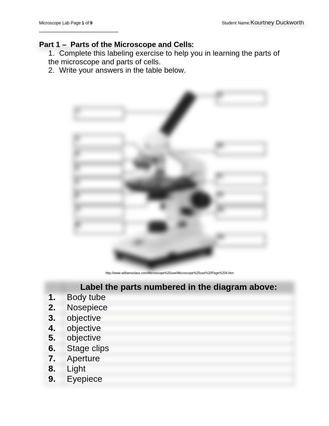 lab2_dy7dpp54if0_page1