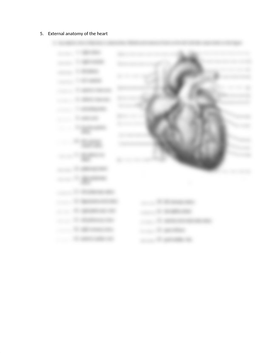 The-Heart-worksheet-1.docx_dy7iytt2v54_page2