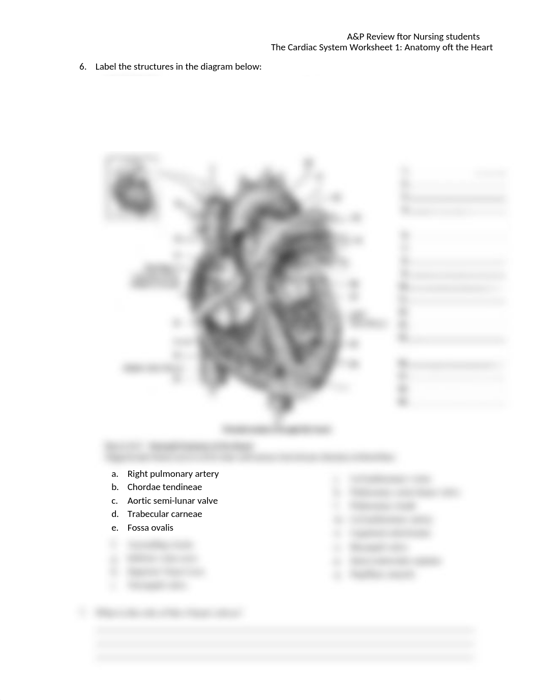 The-Heart-worksheet-1.docx_dy7iytt2v54_page3