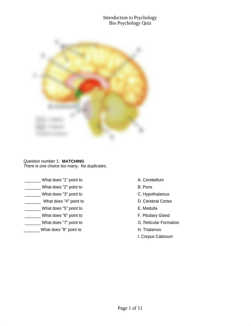 Biopsychology_Quiz_dy7jzrb63wm_page1