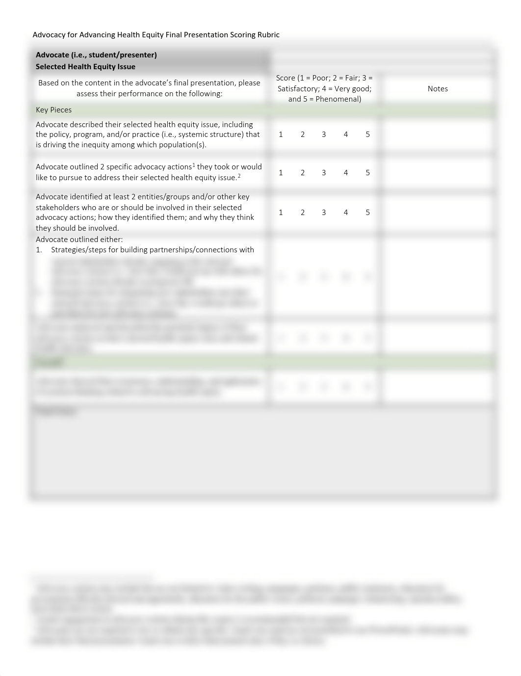 Advocacy for Advancing Health Equity Scoring Rubric.pdf_dy7lavm93mo_page1