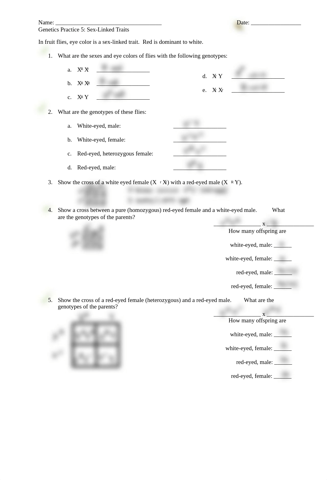 Genetics_Practice_5_-_Sex-Linked_Traits.pdf_dy7pkp25809_page1