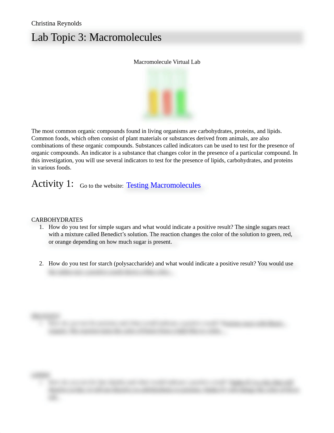 Christina Reynolds Lab 3.doc_dy7uq3sm2cl_page1