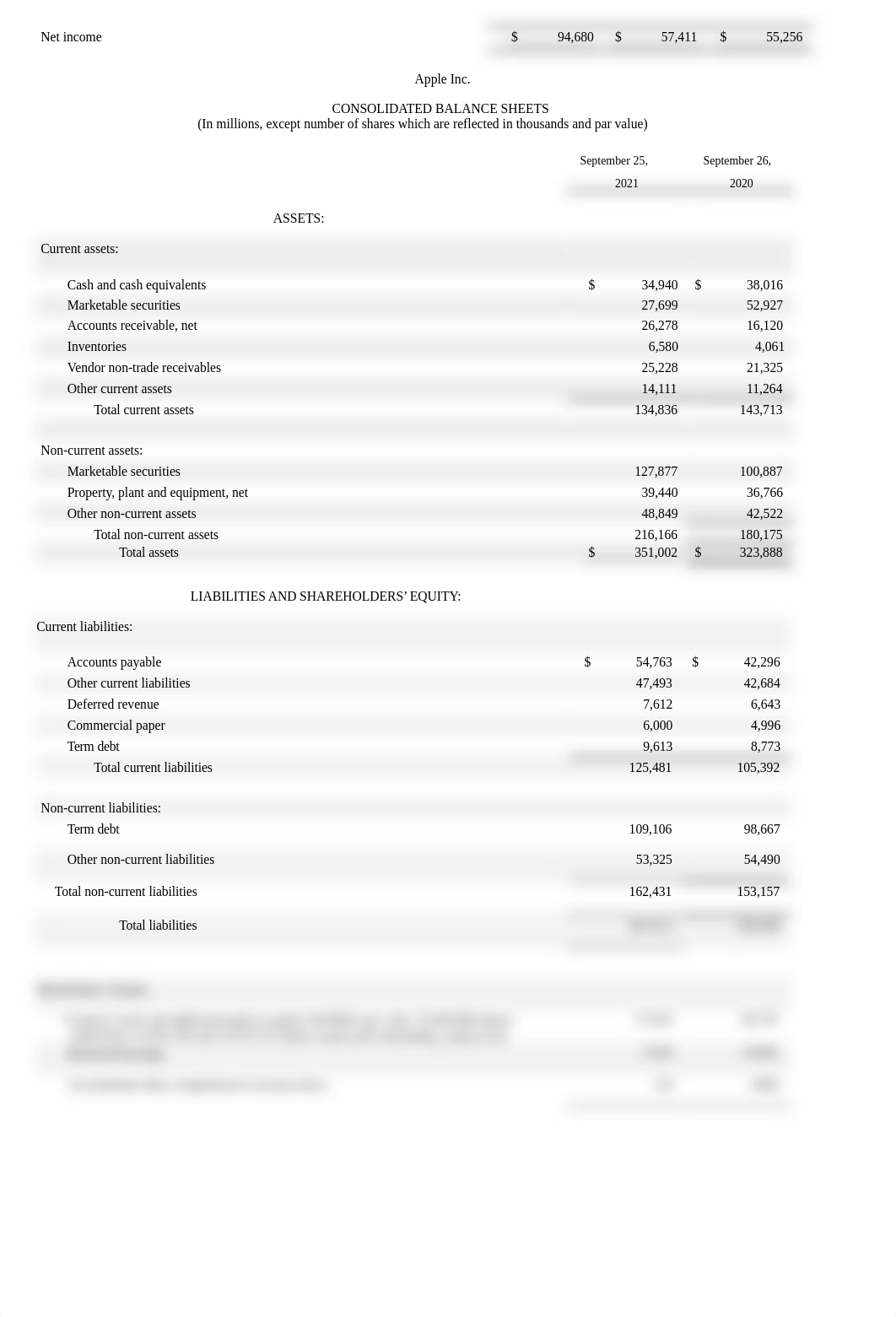 Class 14 Ratio Analysis Problem Set 1.docx_dy86j127gt1_page2