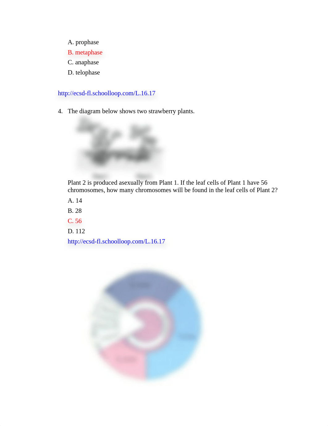 Cell Cycle Pre-Post Test answer key.doc_dy8bmbnh32h_page2