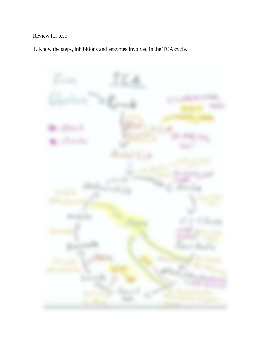 Biochemistry 1 Test 2 review worksheet (3).docx_dy8m8db3mo9_page1