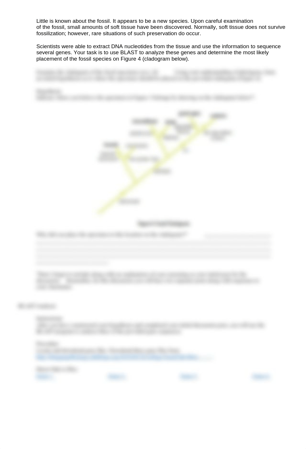 AP Lab 3 Blast Modified Lab Sheet.docx_dy8pjawtkaf_page2