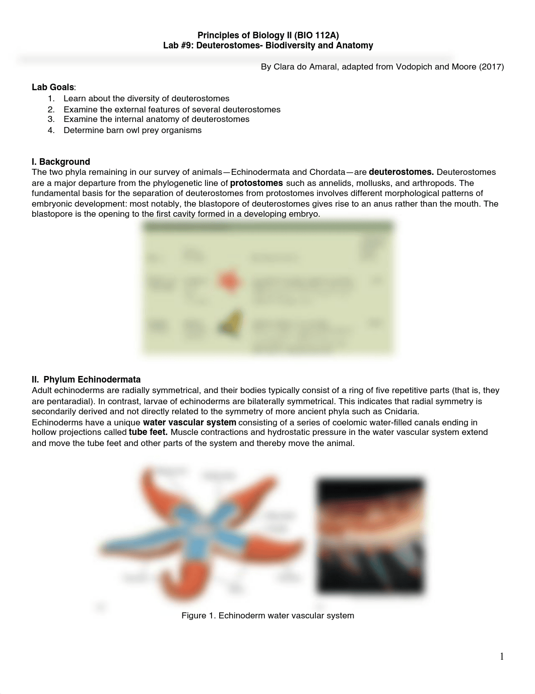 112 Lab 9 deuterostome lab.pdf_dy8qcac9pit_page1