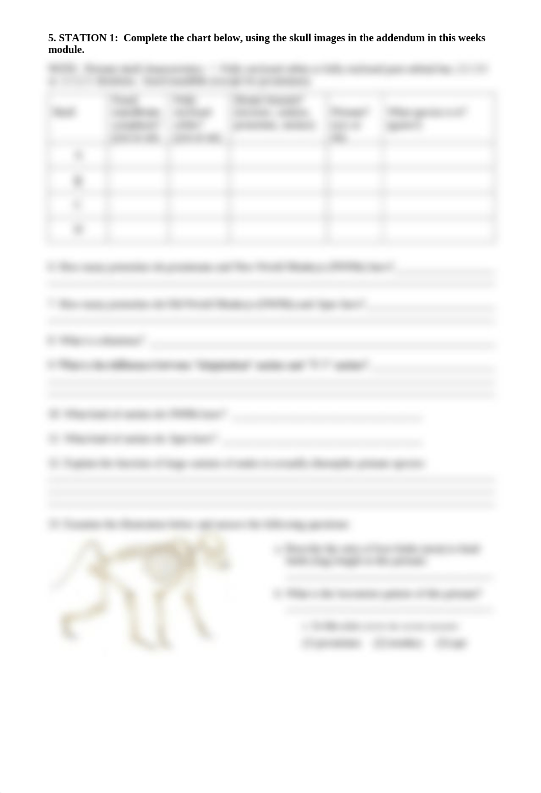 The Living Primates Worksheet.docx.pdf_dy8z93ludvl_page2