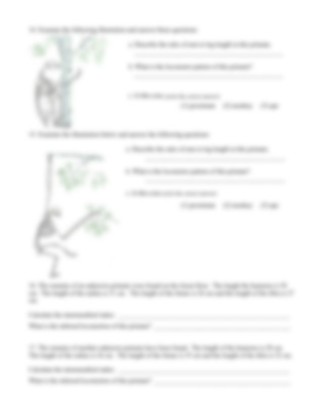 The Living Primates Worksheet.docx.pdf_dy8z93ludvl_page3