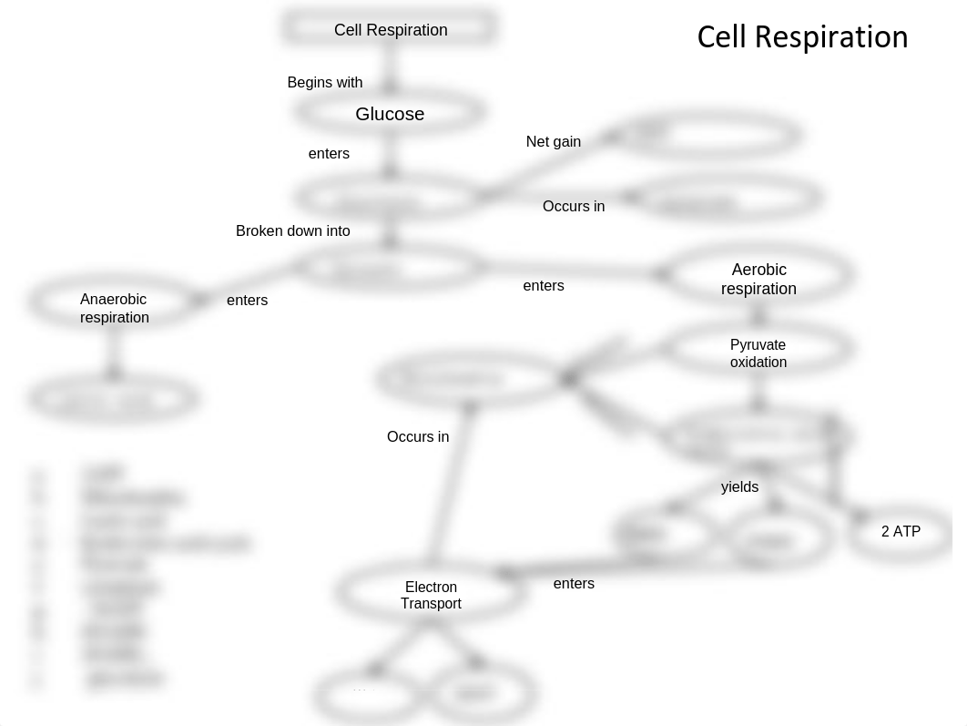 Cell Respiration Concept Map.pdf_dy91cv6hydl_page1