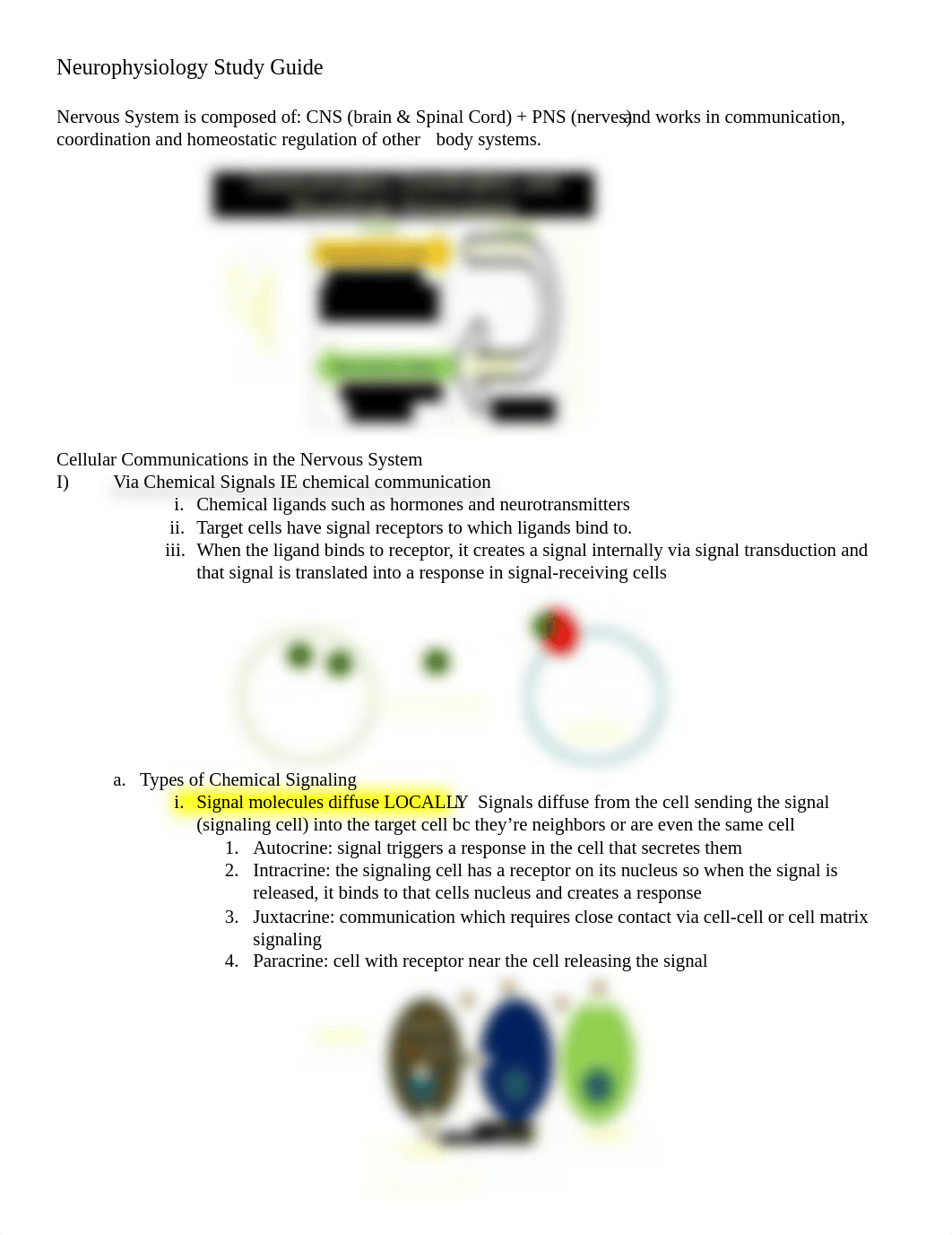 Neurophysiology Study Guide.docx_dy93r12ytvl_page1