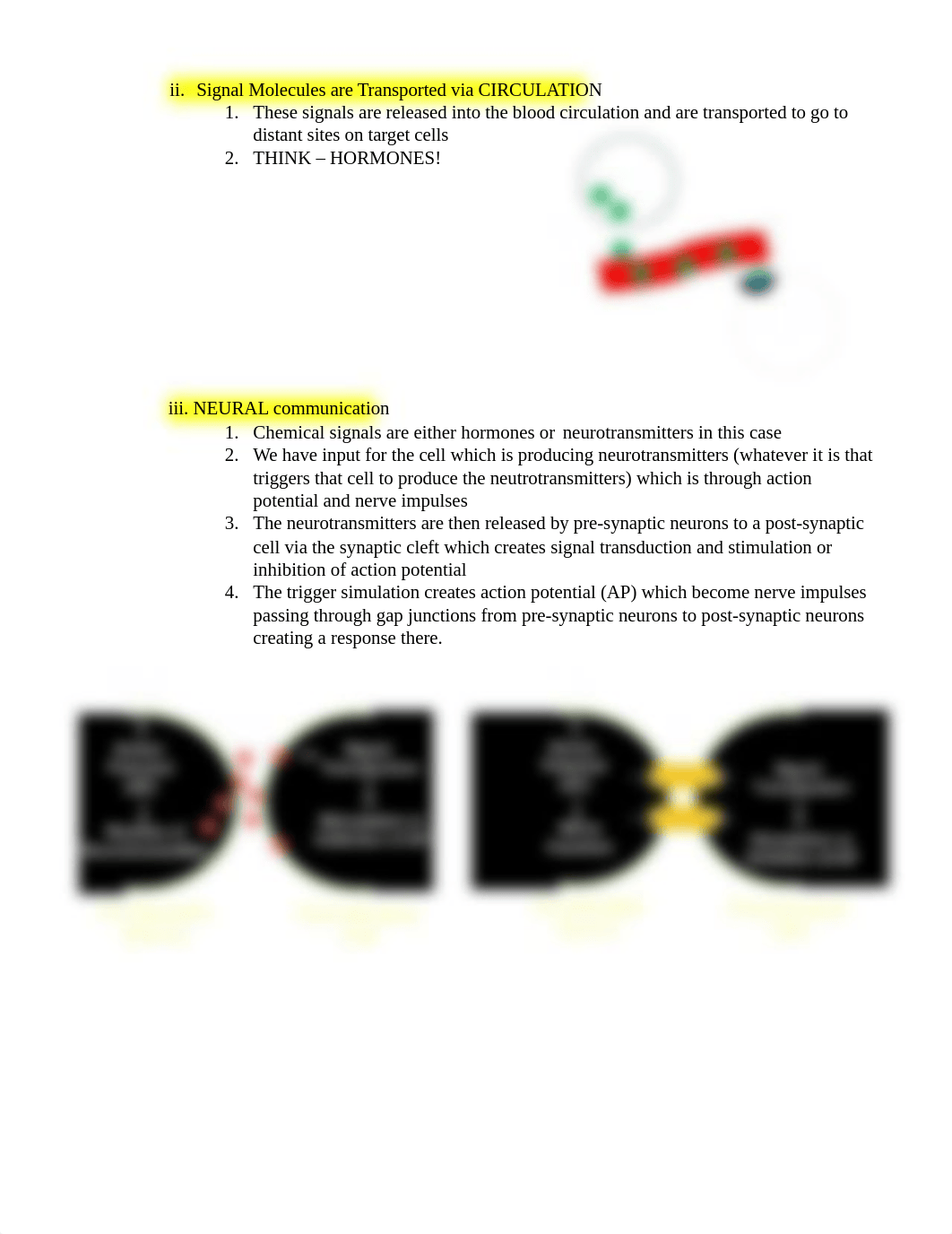 Neurophysiology Study Guide.docx_dy93r12ytvl_page2