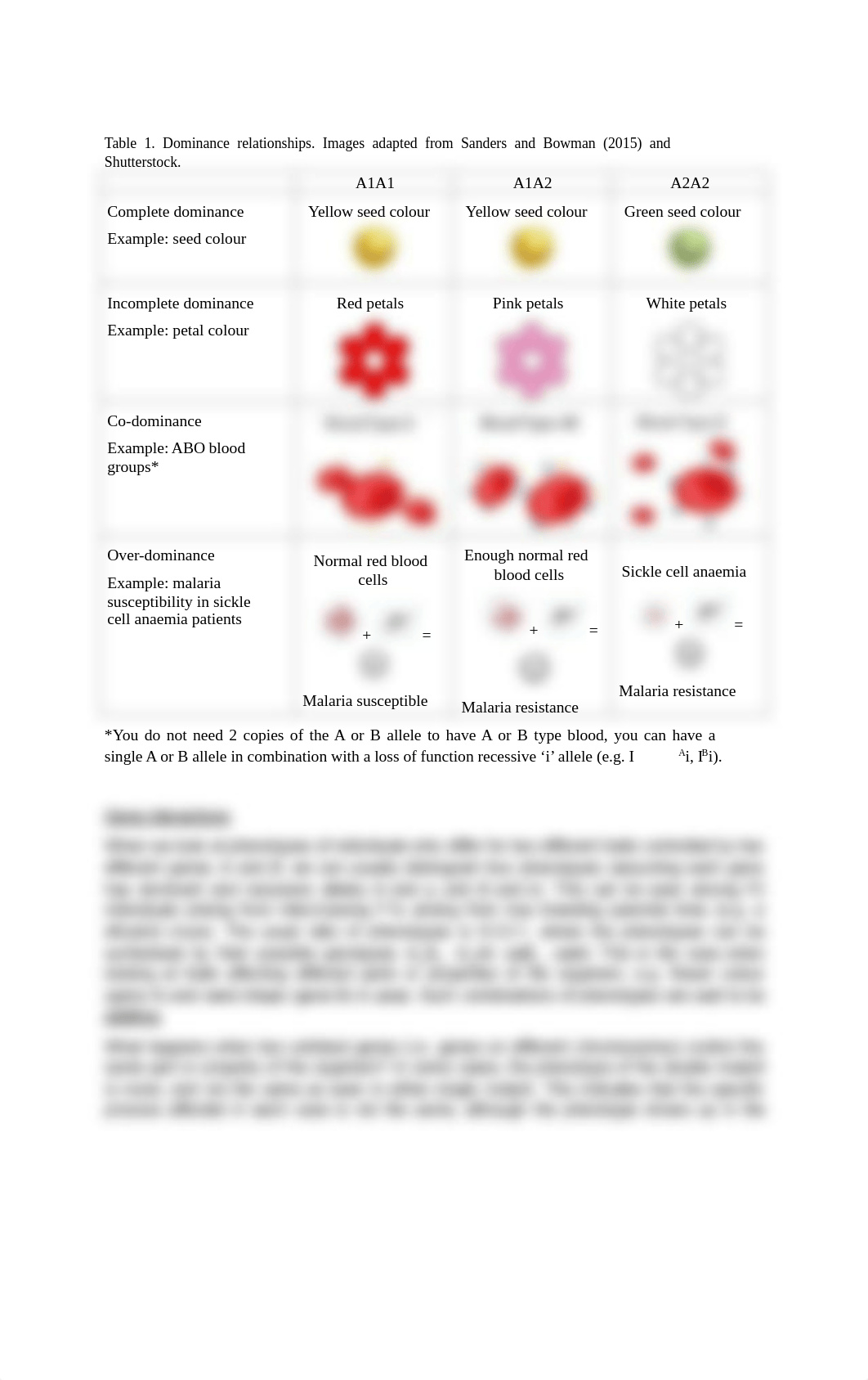 BMS2042 Week 3 Lab Manual 2022.pdf_dy98bazirqz_page2