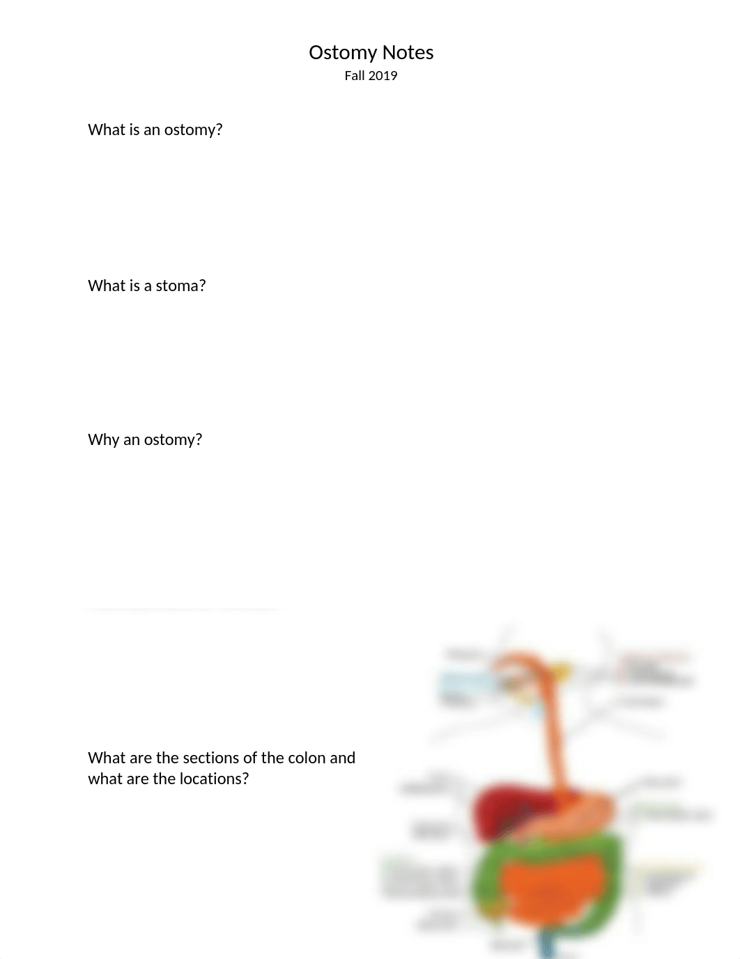 Ostomy Notes.docx_dy99vwyv1yb_page1