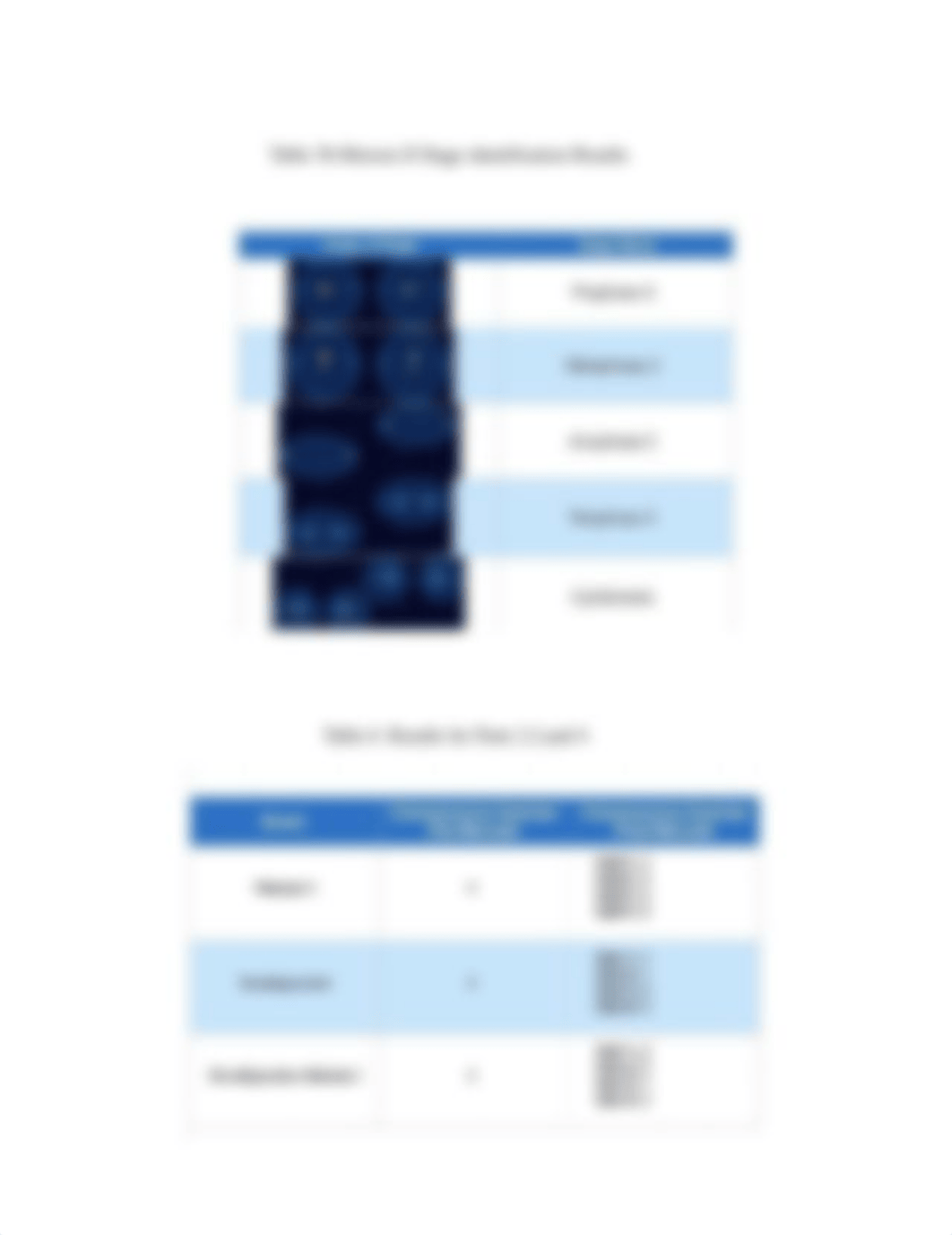 Meiosis Lab_Herrin.pdf_dy9by9i9988_page2