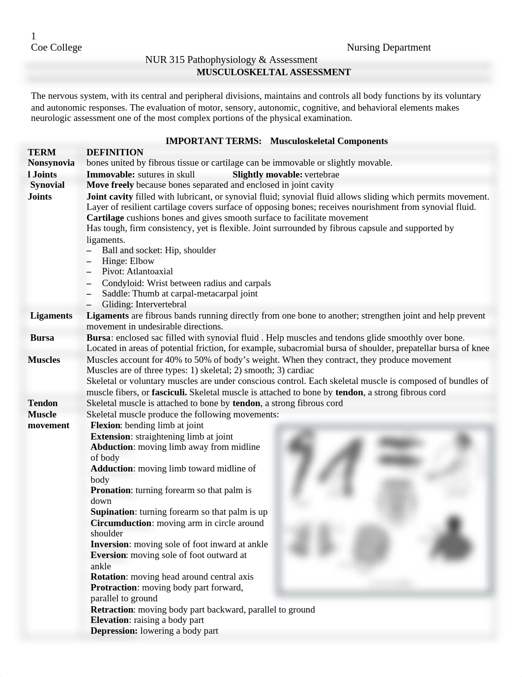 1_Musculoskeletal_ASSESSMENT_2018.docx_dy9ityd5c6g_page1