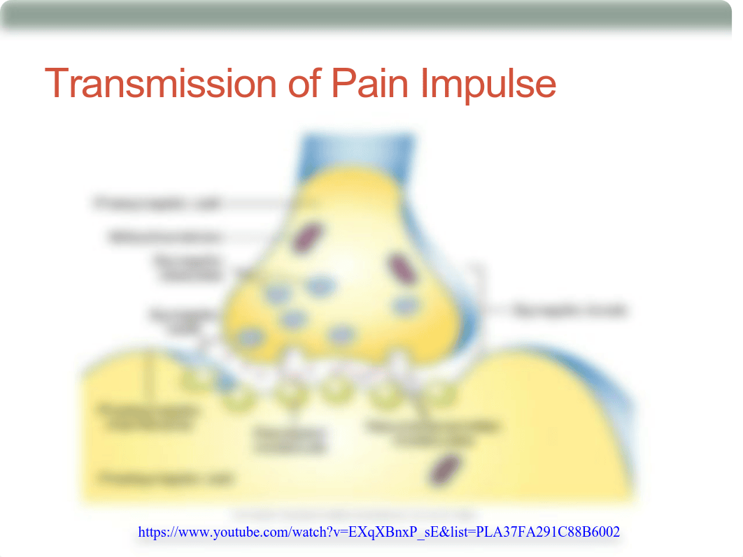 Chapter_043 Pain  Management.pdf_dy9lr9mz4rx_page3