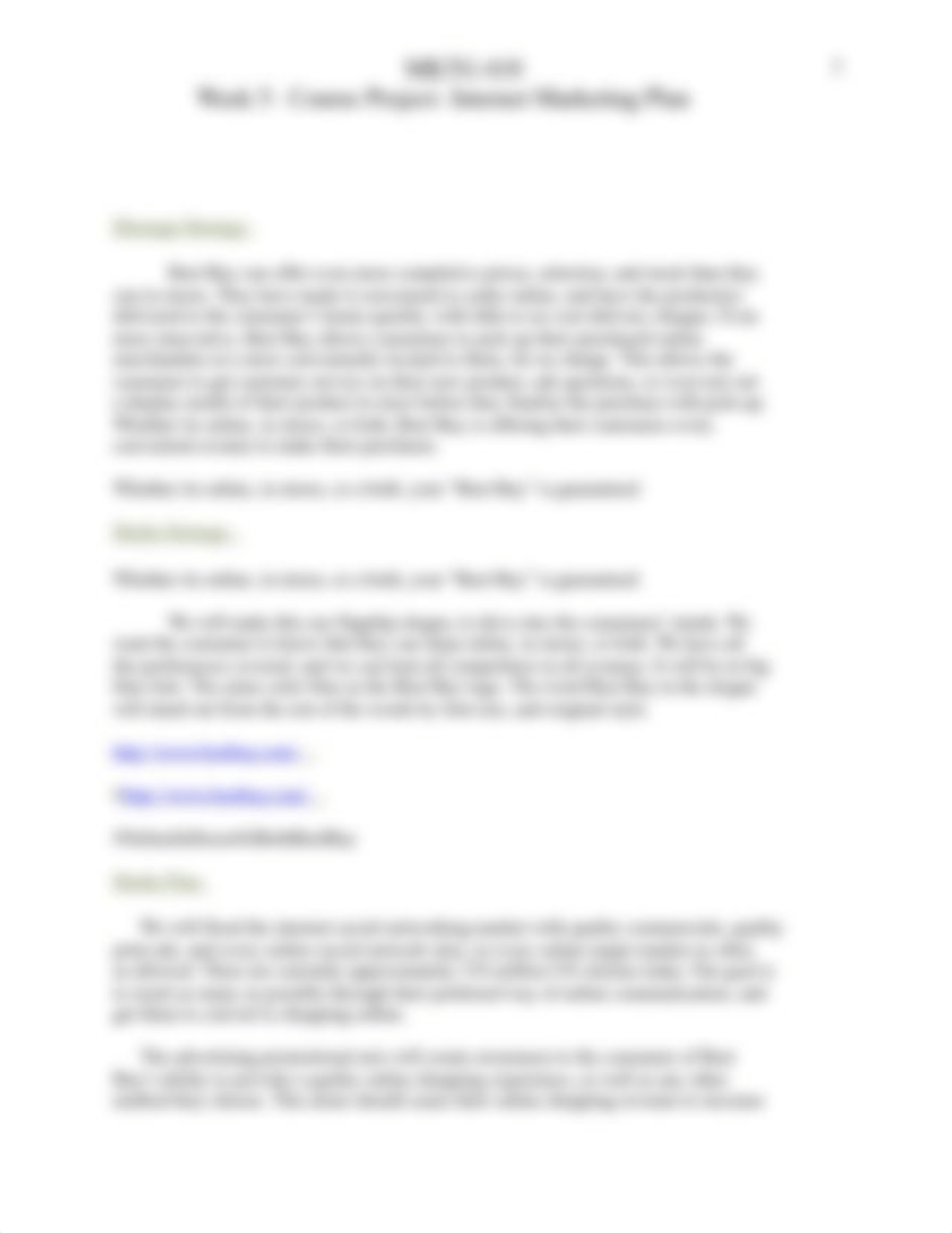 Akins_Week_5_Internet_Ad_Plan.docx_dy9o2opv0fj_page3