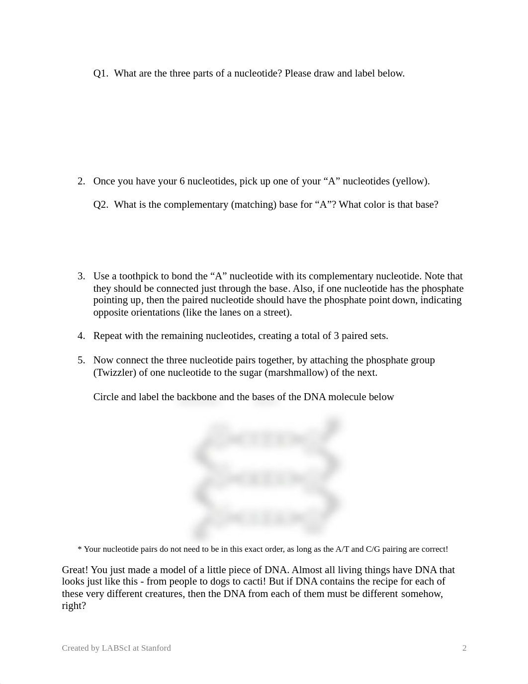 DNA-Structure-SA.pdf_dy9stnn78i2_page2