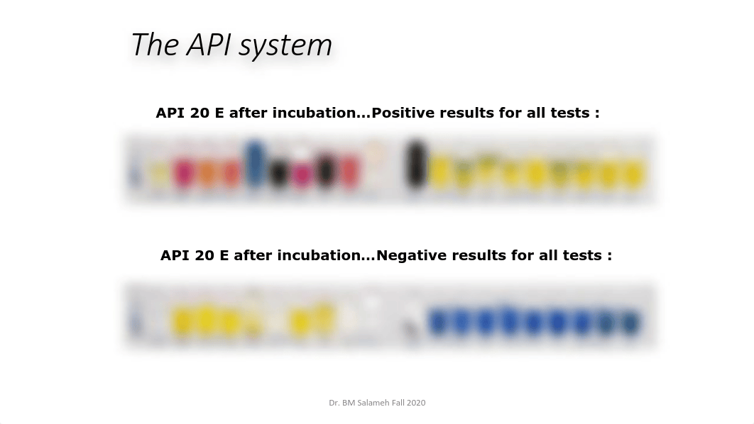 API 20E Wet Lab 8 Unknowns Fall 2020.pdf_dy9ue5f5n76_page4