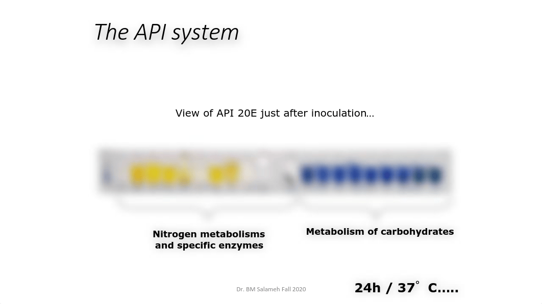 API 20E Wet Lab 8 Unknowns Fall 2020.pdf_dy9ue5f5n76_page3