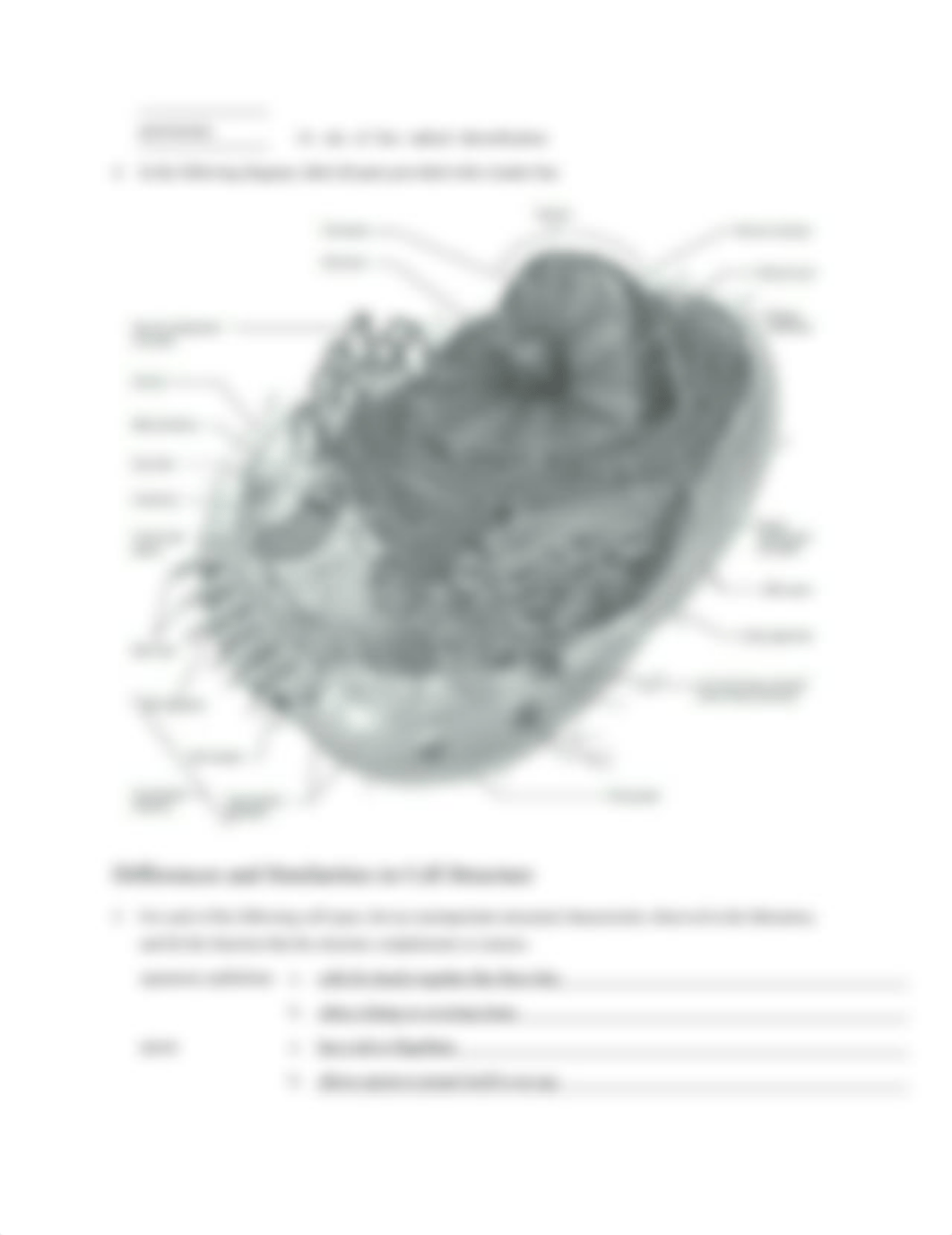 Cell Review Sheet Answers.docx_dy9wm88rk2u_page2