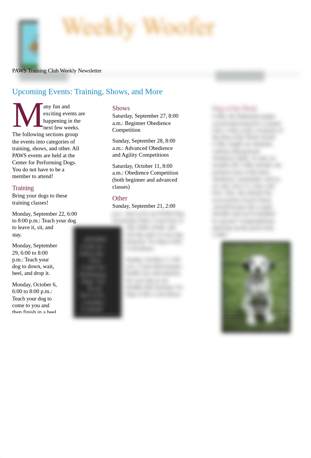 Lab 7-1 PAWS Newsletter.docx_dy9ybvlm5hp_page1