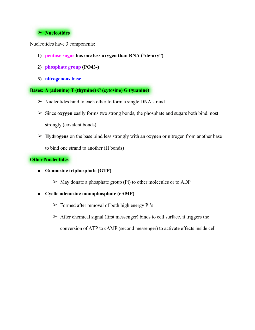 Molecular Genetics Study Guide.pdf_dy9zo57aprc_page2