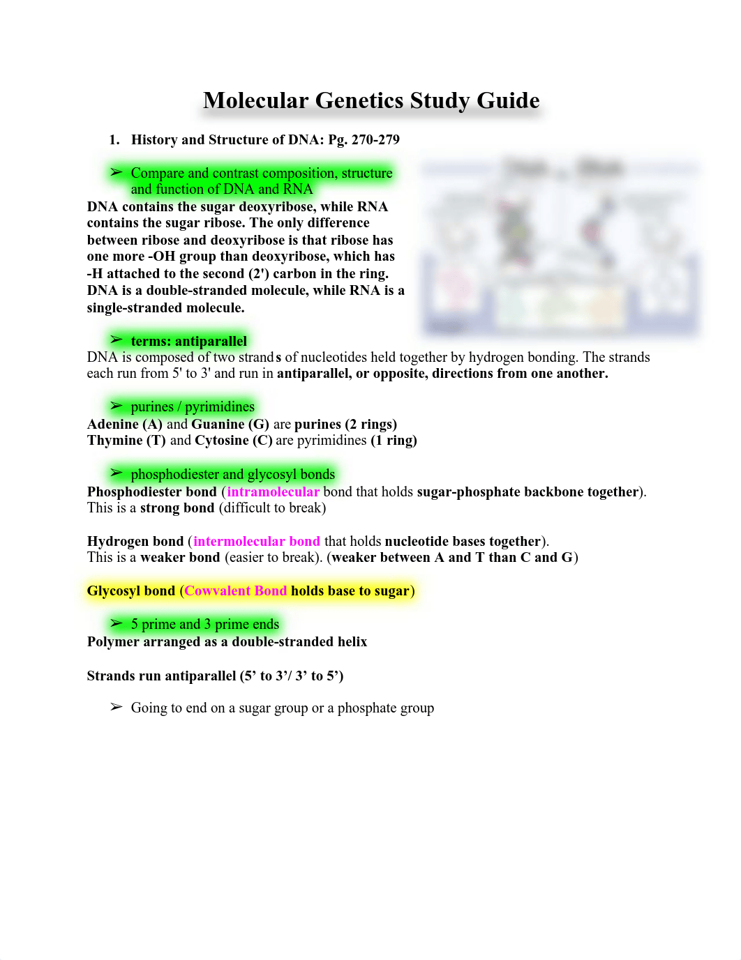 Molecular Genetics Study Guide.pdf_dy9zo57aprc_page1