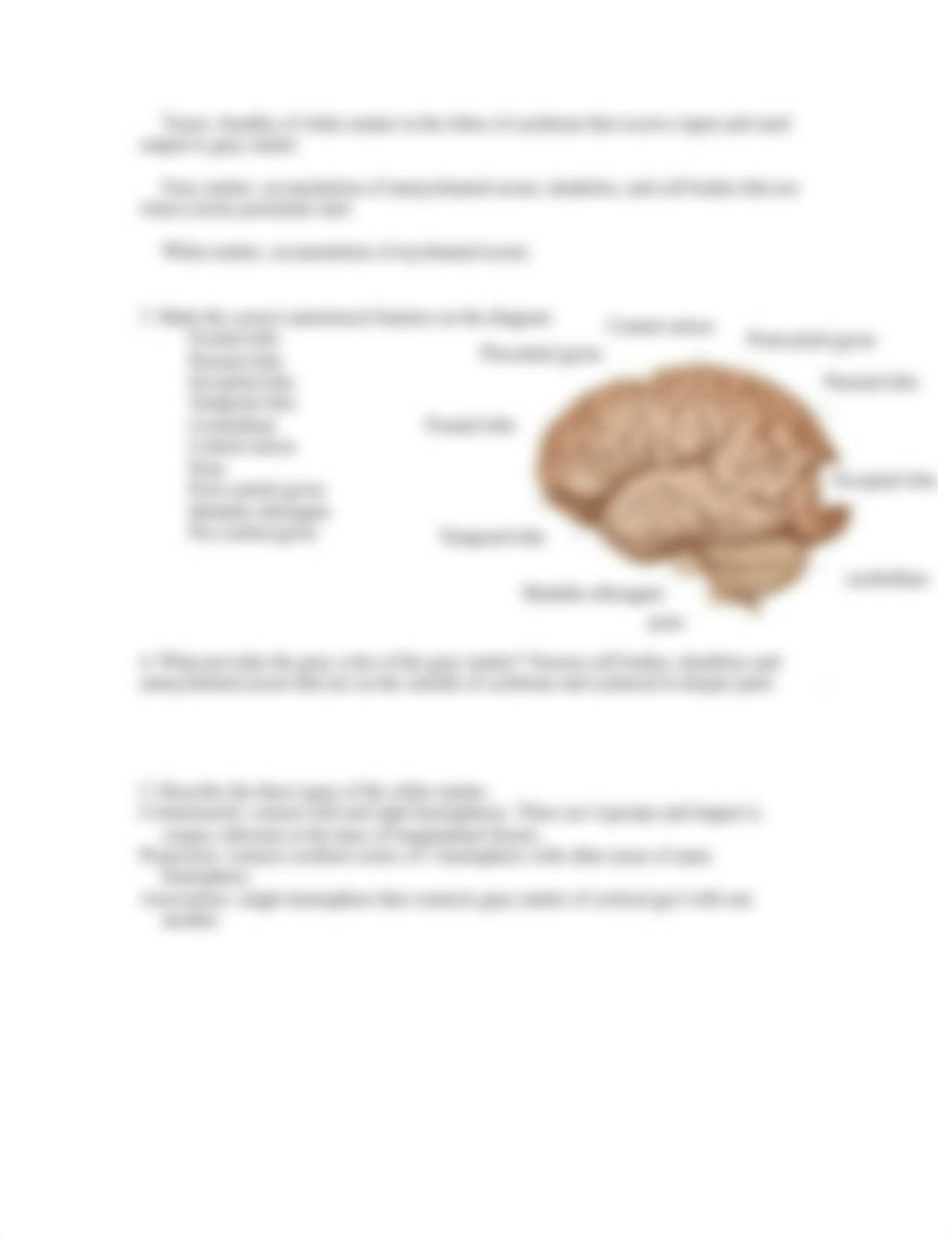 5_- GRQ- Brain.docx_dya4kf5rqir_page2