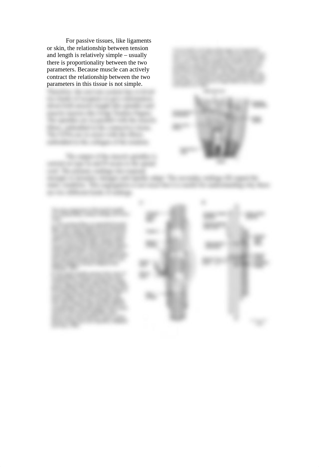 3. Proprioreceptors_dyaaedo2362_page2