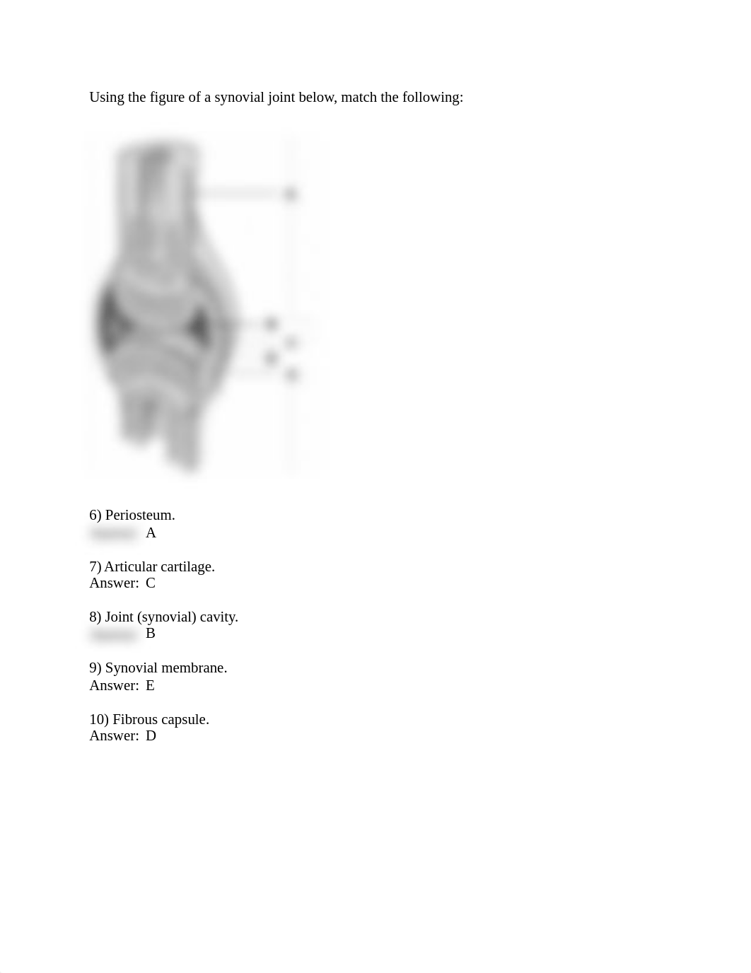 Lecture_5 Joints_Quiz_answers.doc_dyafjrhag6g_page2