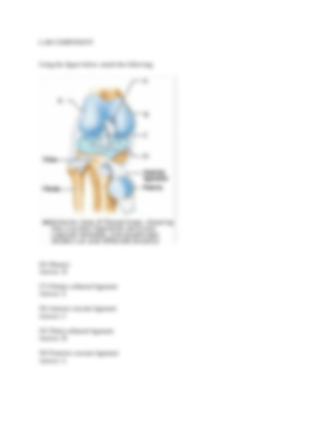 Lecture_5 Joints_Quiz_answers.doc_dyafjrhag6g_page5