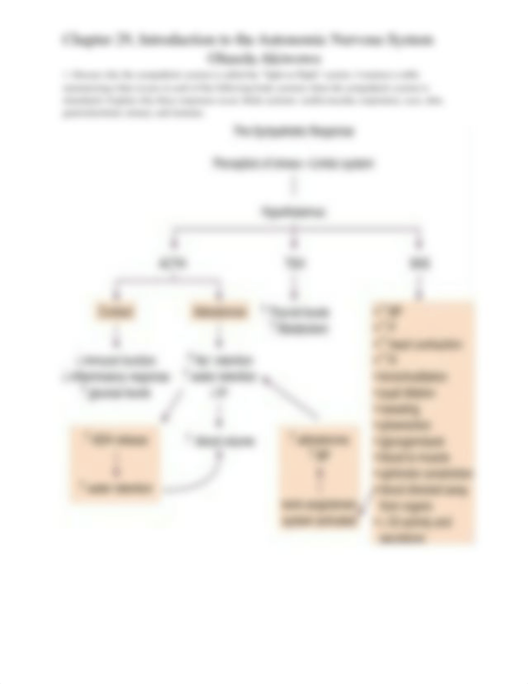 Chapter 29, Introduction to the Autonomic Nervous System_dyagkot7ytq_page2