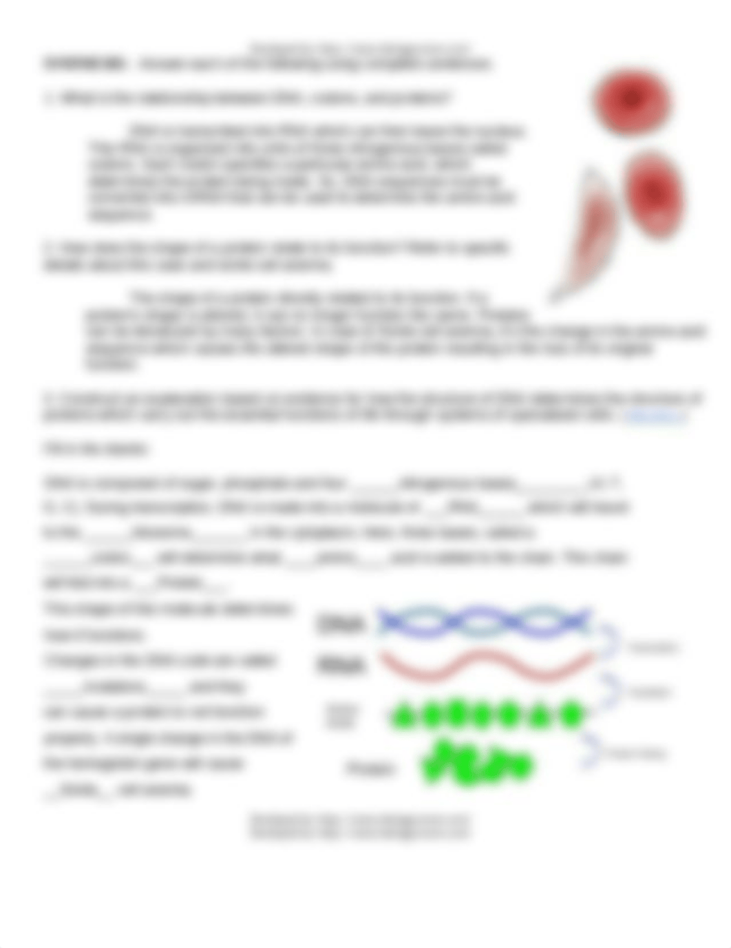 Protein Synthesis Sickle Cell Worksheet.docx_dyah0jv55iu_page2