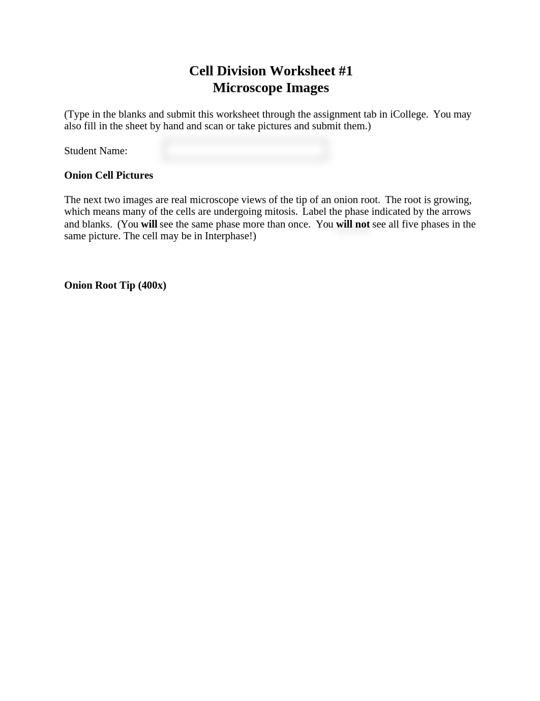 celldivisionworksheet1 (1).docx_dyaqtpa1oaf_page1