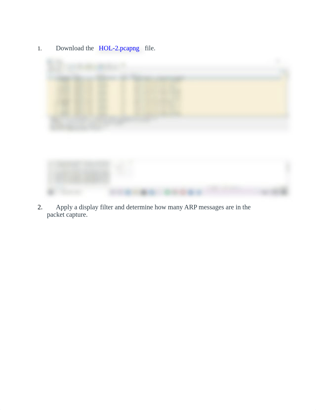 Week 2 TCP IP LAB.docx_dyar2u5hbru_page1