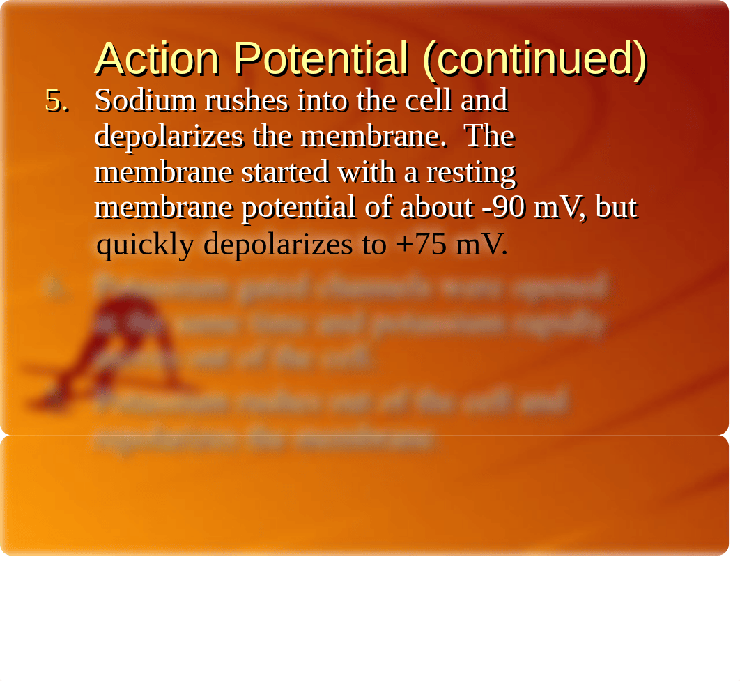 Sliding Filament Theory of Muscle Movement_dyat227c6v7_page4