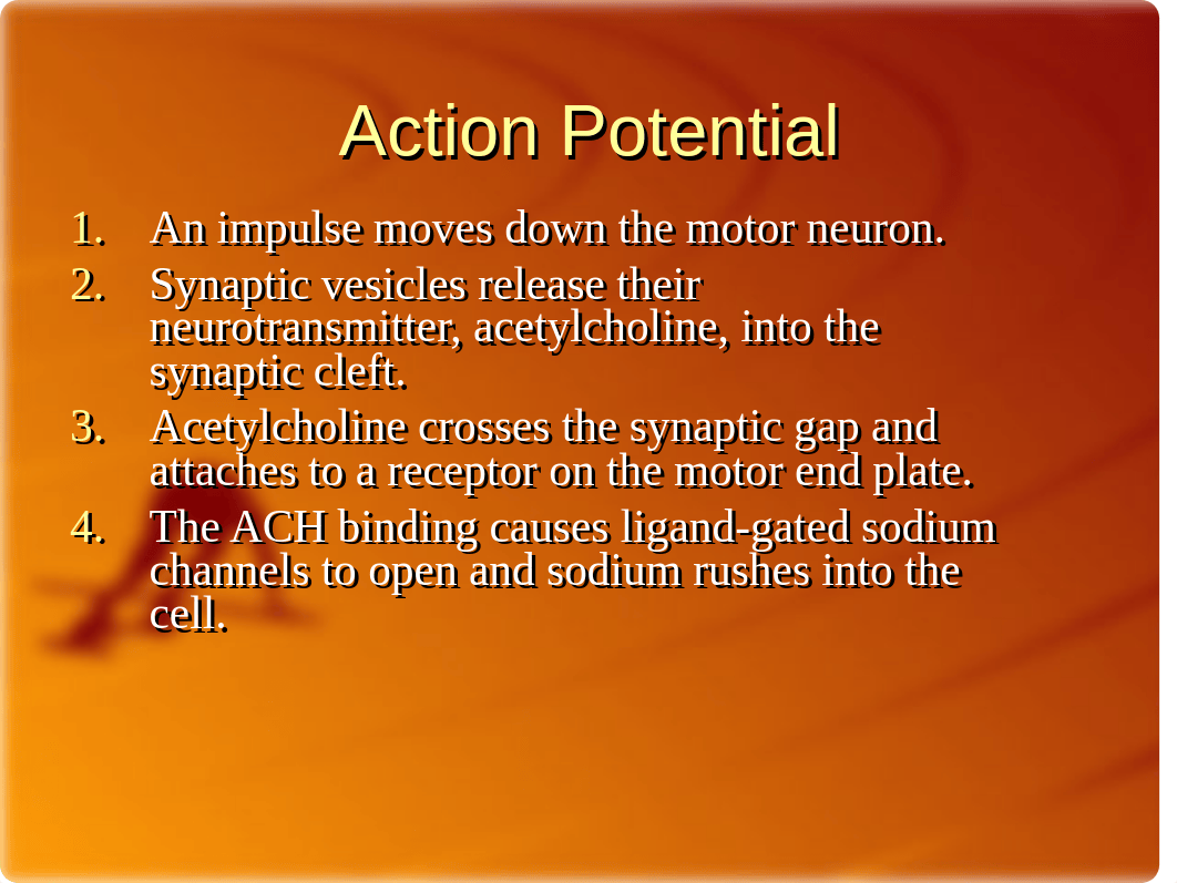 Sliding Filament Theory of Muscle Movement_dyat227c6v7_page2