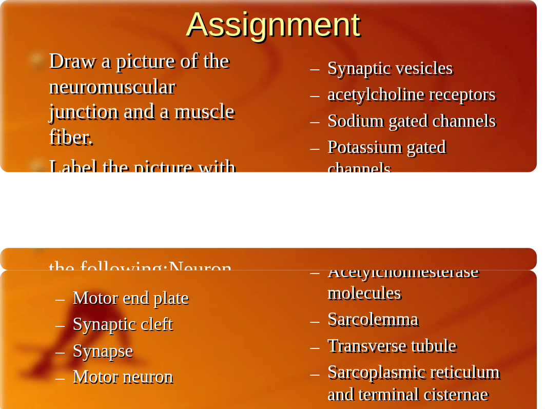 Sliding Filament Theory of Muscle Movement_dyat227c6v7_page3