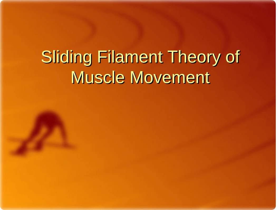 Sliding Filament Theory of Muscle Movement_dyat227c6v7_page1