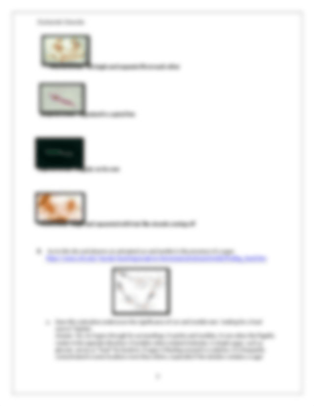 Microbiology WS 2.docx_dyax3vlxfi6_page3