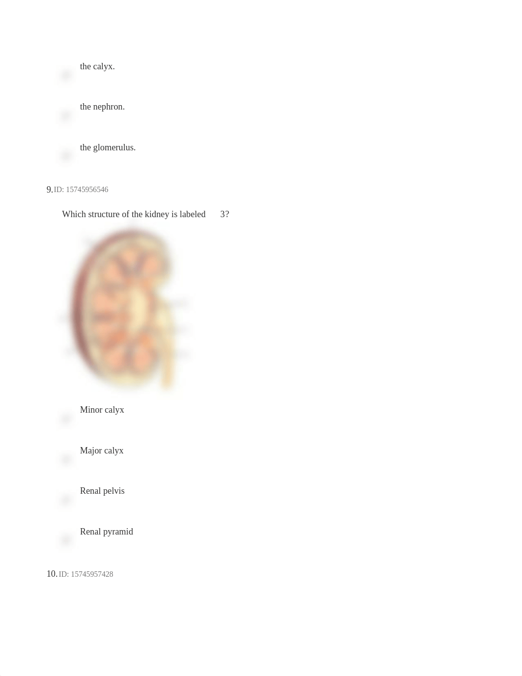 Chapter+14+Questions.docx_dyb3rj2a14w_page4