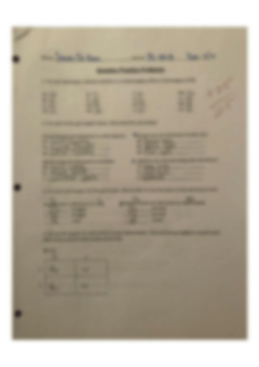 Genetics Practice Problems_dyb49mrfq63_page1