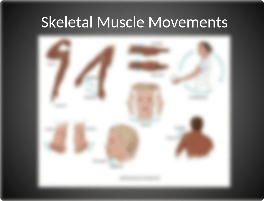 n 225 musculoskeletal voice over power point (1).pptx_dyb57vah2xx_page4