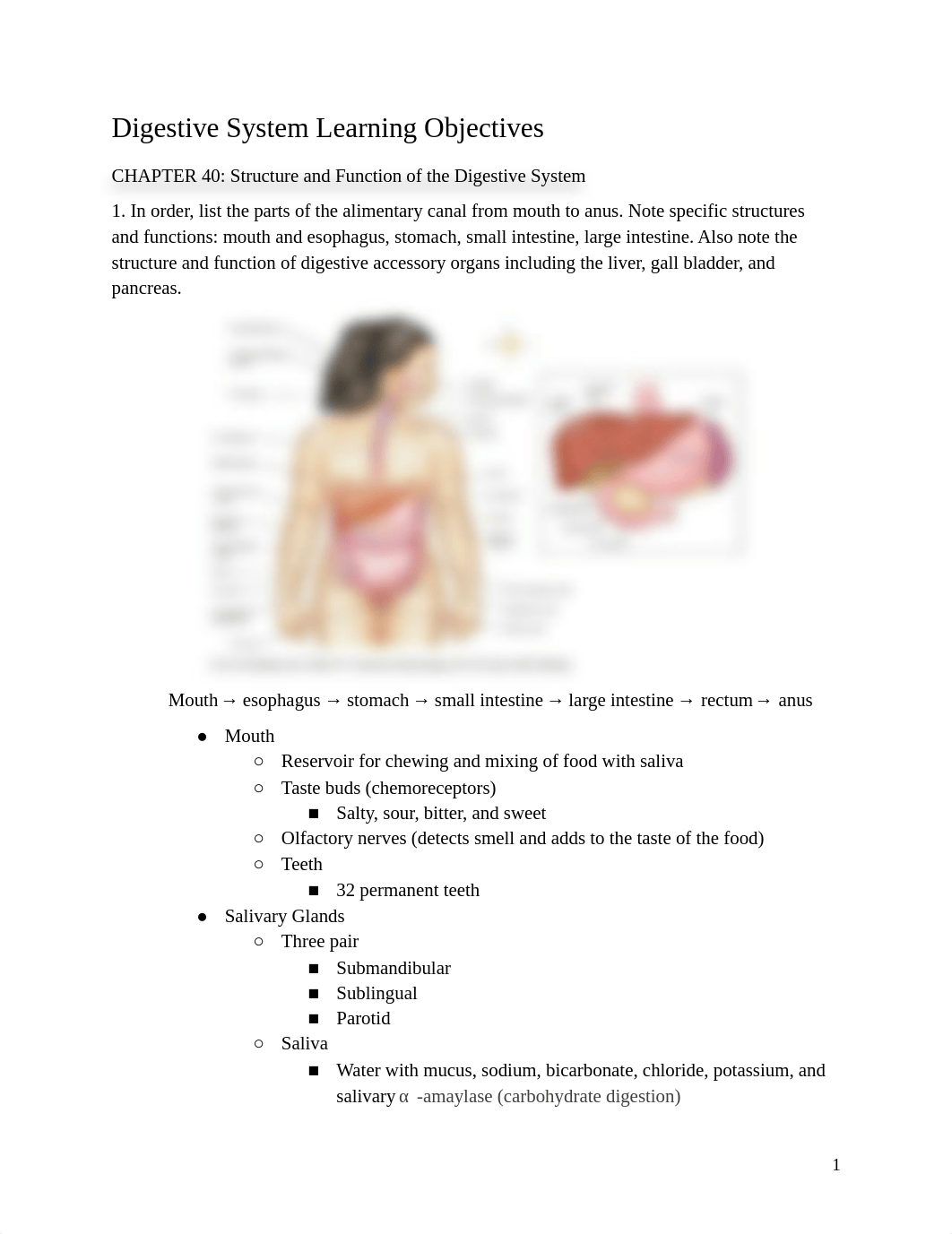 Digestive System Learning Objectives.pdf_dyb6nqnhac8_page1